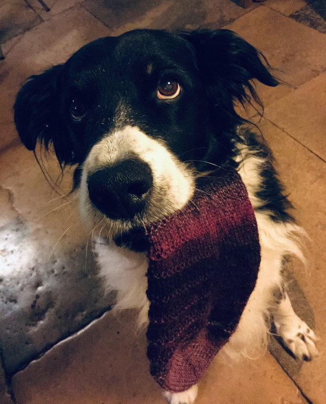 31F75BE0-0BCA-4B22-A2AA-472585FD7B6C