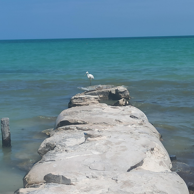 Holbox - Yucatán y Riviera Maya en diez días (1)