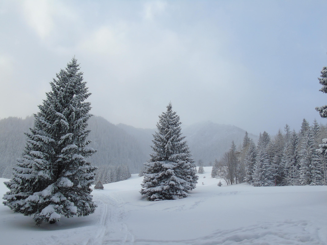 09.02 - DSC05041 (PawelK)