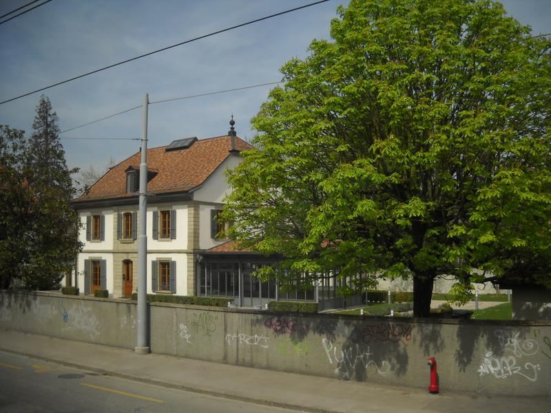 Slika