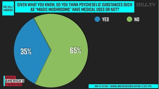 Psychedelic Survey