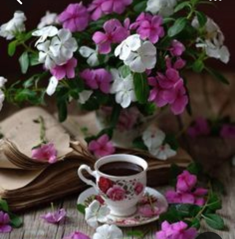 Screenshot_20240329_133335_Pinterest