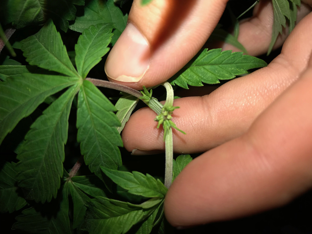 110E5F7A-83CD-4B4C-B1F7-048CCF1387BB