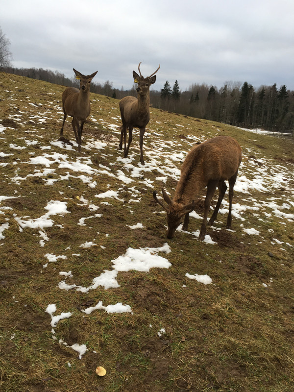 AC14ECDA-0182-4552-A9BC-1FAF9AA1E519