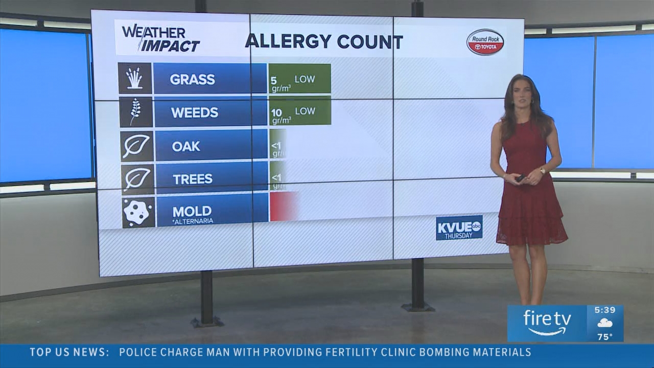 06.05 - 11.00.00 - KVUE News Daybreak  ᴺᵉʷ. Breaking news and headlin....ts_snapshot_00.40.55.422