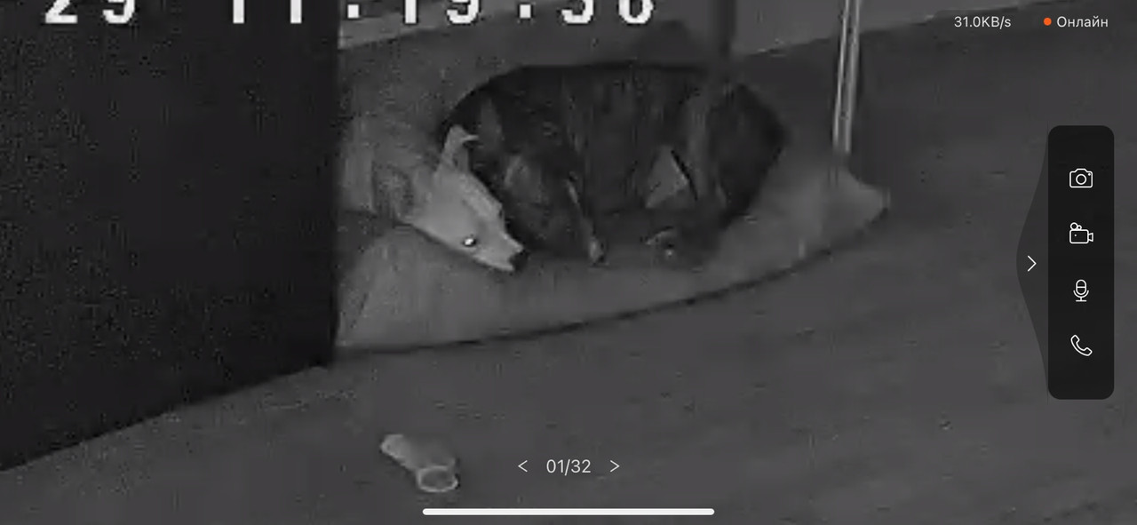 3D6EC6B9-44B3-40D5-8B9D-C2A1B6DA5E81