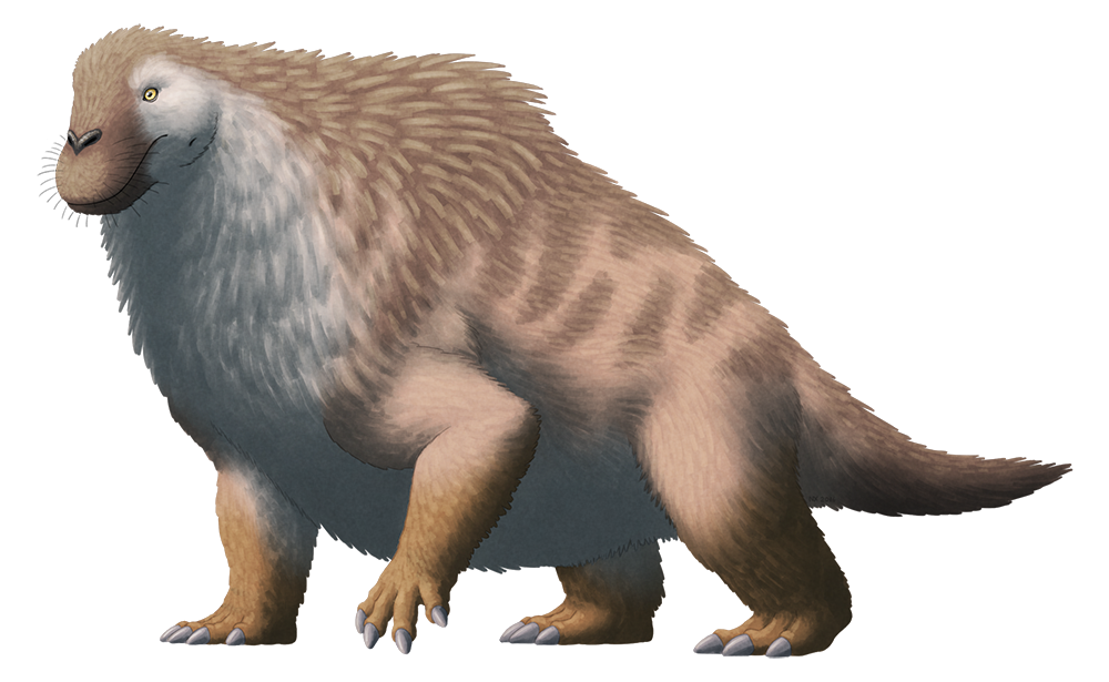 f4239910c1c2ccad4899a6fbf2433116