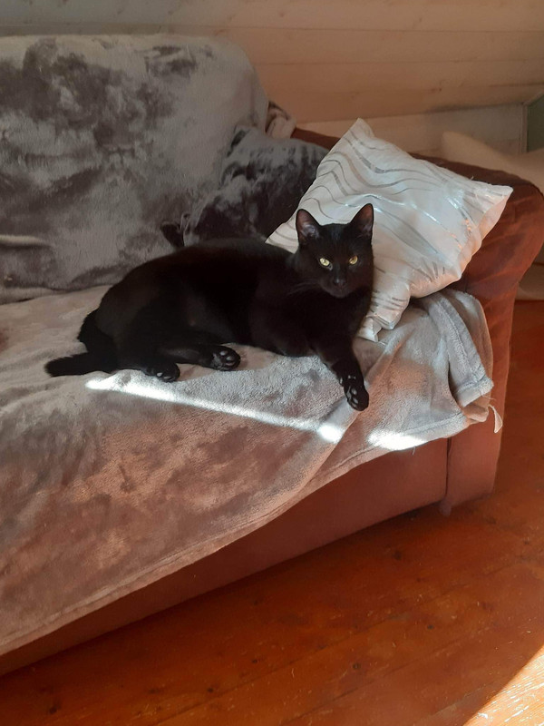 received_3445959955672308