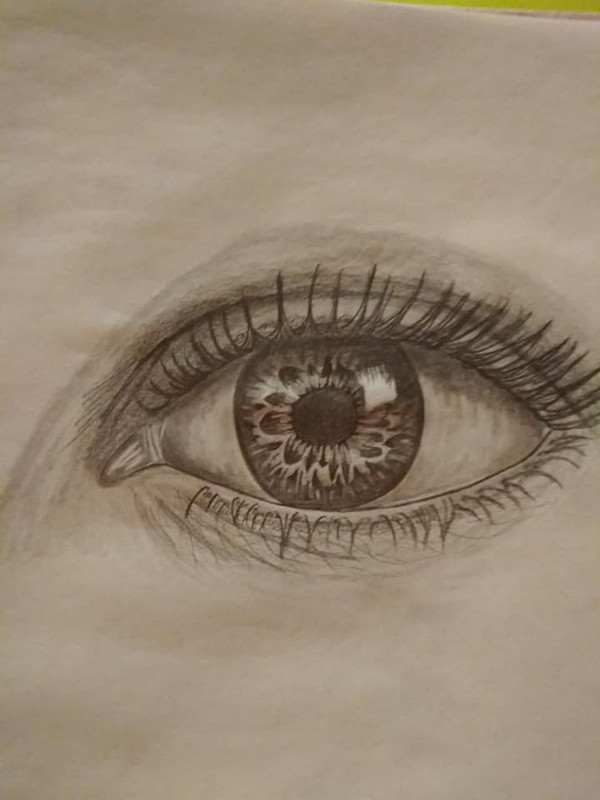 54524627_2176788825740670_2361602314759831552_n