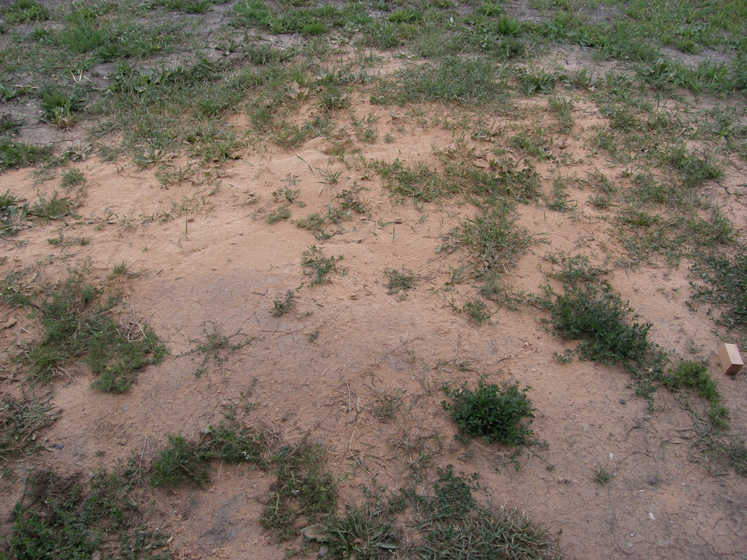 P7020036