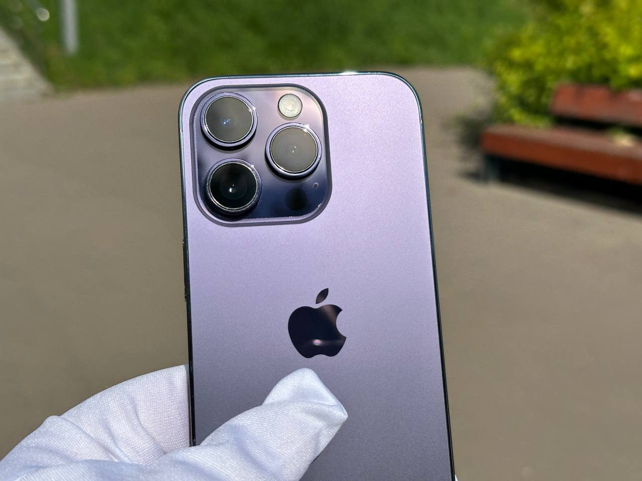 photo 1 2026 01 04 14 49 12