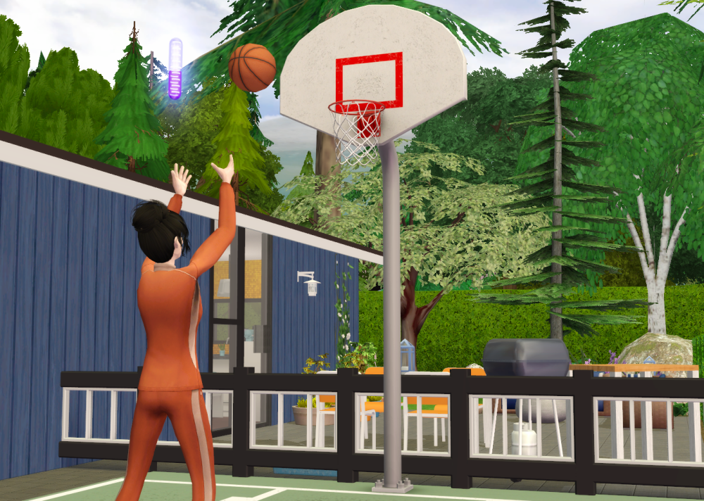 Sims2-EP9-RPC-2021-11-20-13-50-54-95