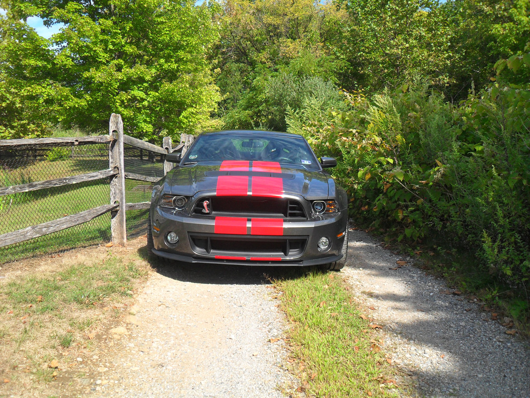 X-F/S -09-11-2025-Cruise-night-pics-041