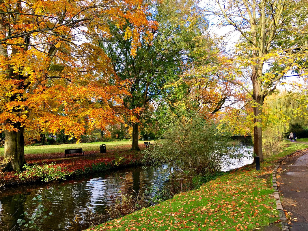 Town-Park-Autumn-HD.jpg