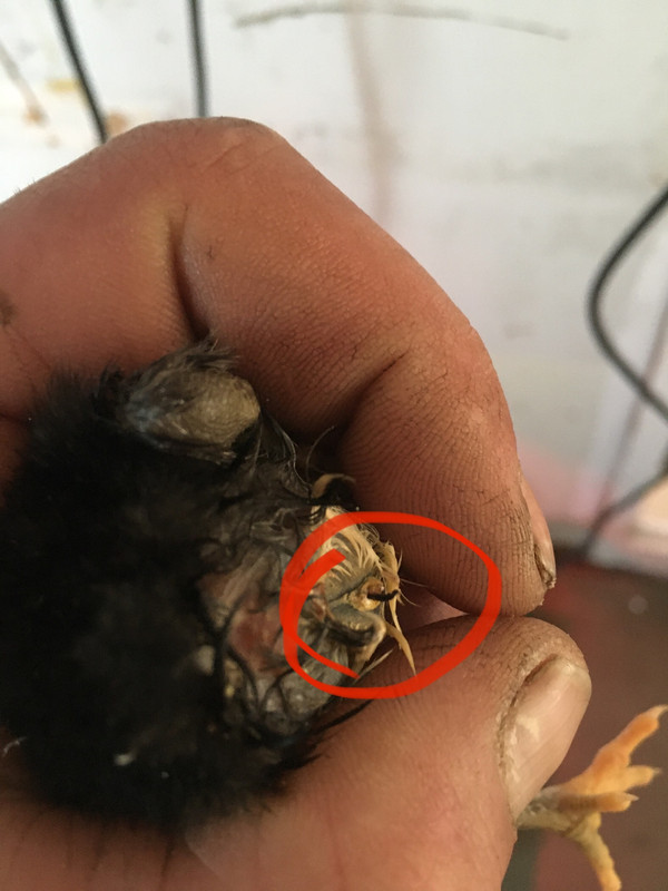 122644E9-9265-474F-B54A-B636E736B5D0