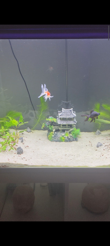 Screenshot_2025-01-27-19-58-46-677_com.miui.videoplayer