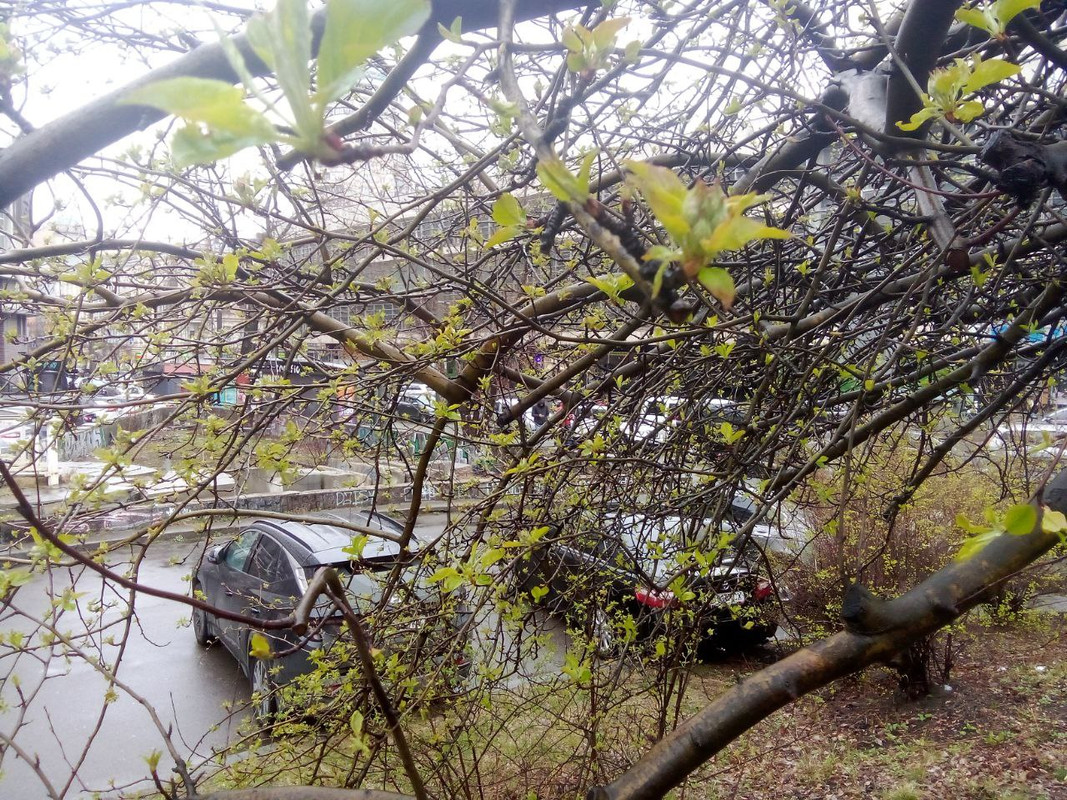 photo_2025-04-01 8.17.53 пп