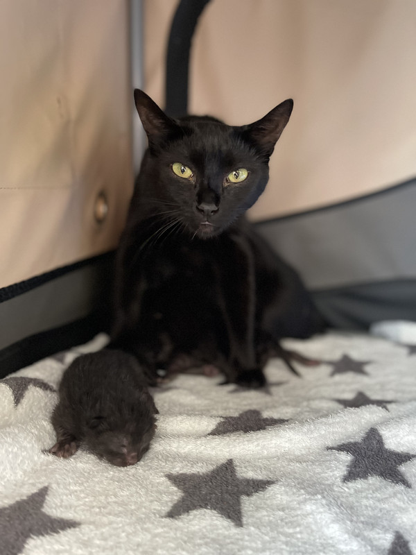 9687BA26-991A-4B89-B0B4-1CDEAA293270