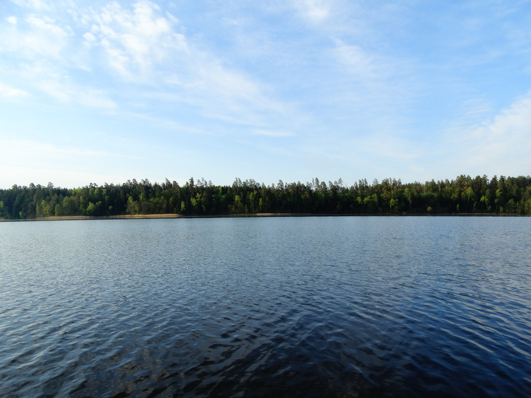 14.05 - DSC09216 (Czesio1)