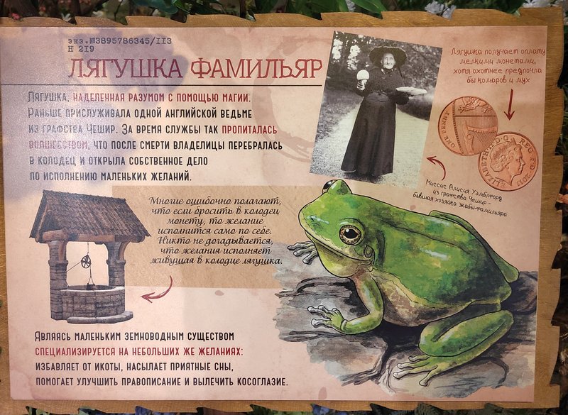 https://i.postimg.cc/DzGtGgDz/225-IMG-20250128-153159.jpg