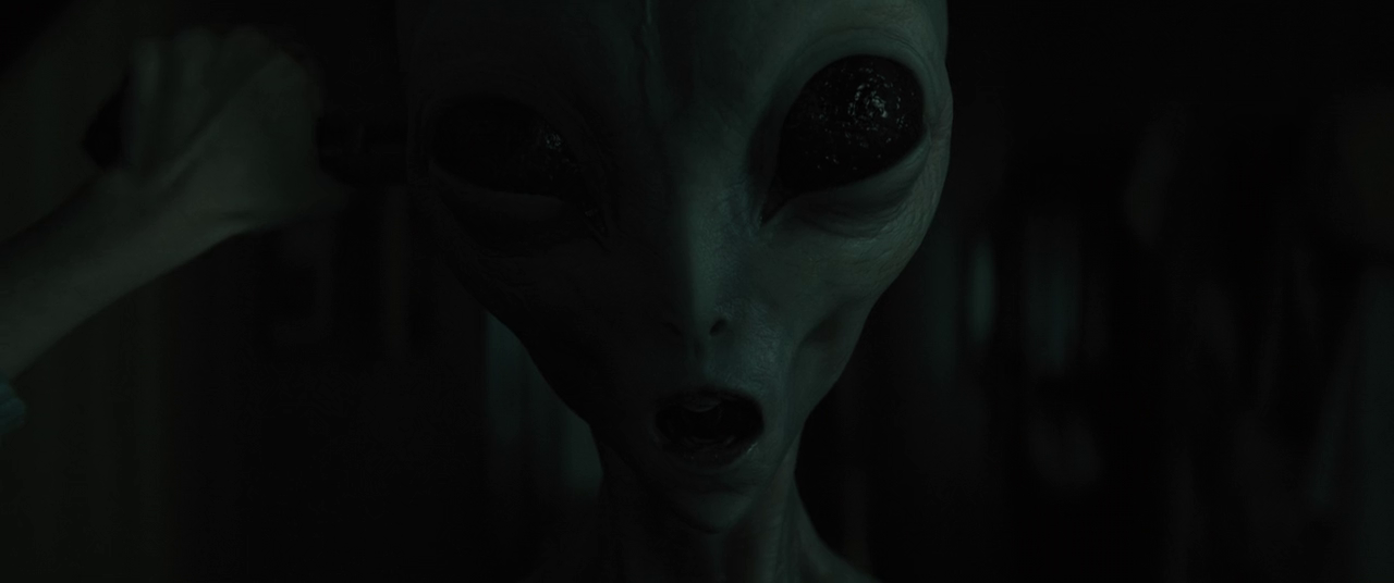 vlcsnap-2023-09-23-07h11m09s733.png