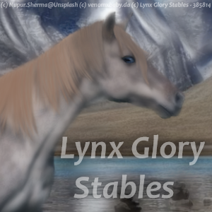 Mountain-Grullo-Pfp.png