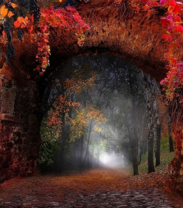 Screenshot_20231207_154121_Instagram