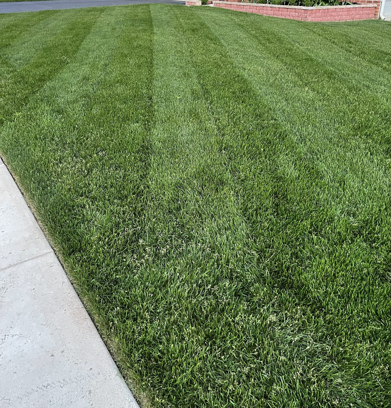 6A14984D-8020-4115-8B5D-767E6D5F1E4F