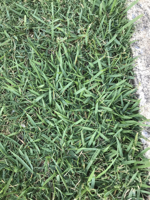 26945D33-827F-455D-ACD2-5F1BF48EFE66