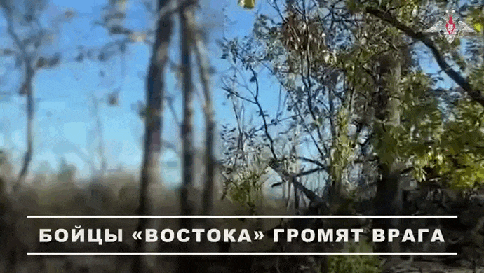 https://i.postimg.cc/DzHtvkkf/video-2026-06-12-07-08-40-(1).gif