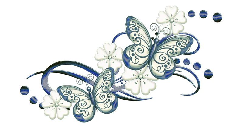 s12004d2f62b53851fed8