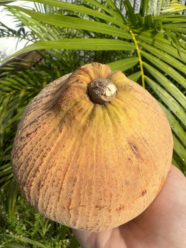 10FB89F4-1858-4782-9EC6-D4128B264523