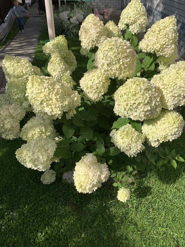 D62FF88A-DC3B-4441-9AD2-10C450E5B4AF