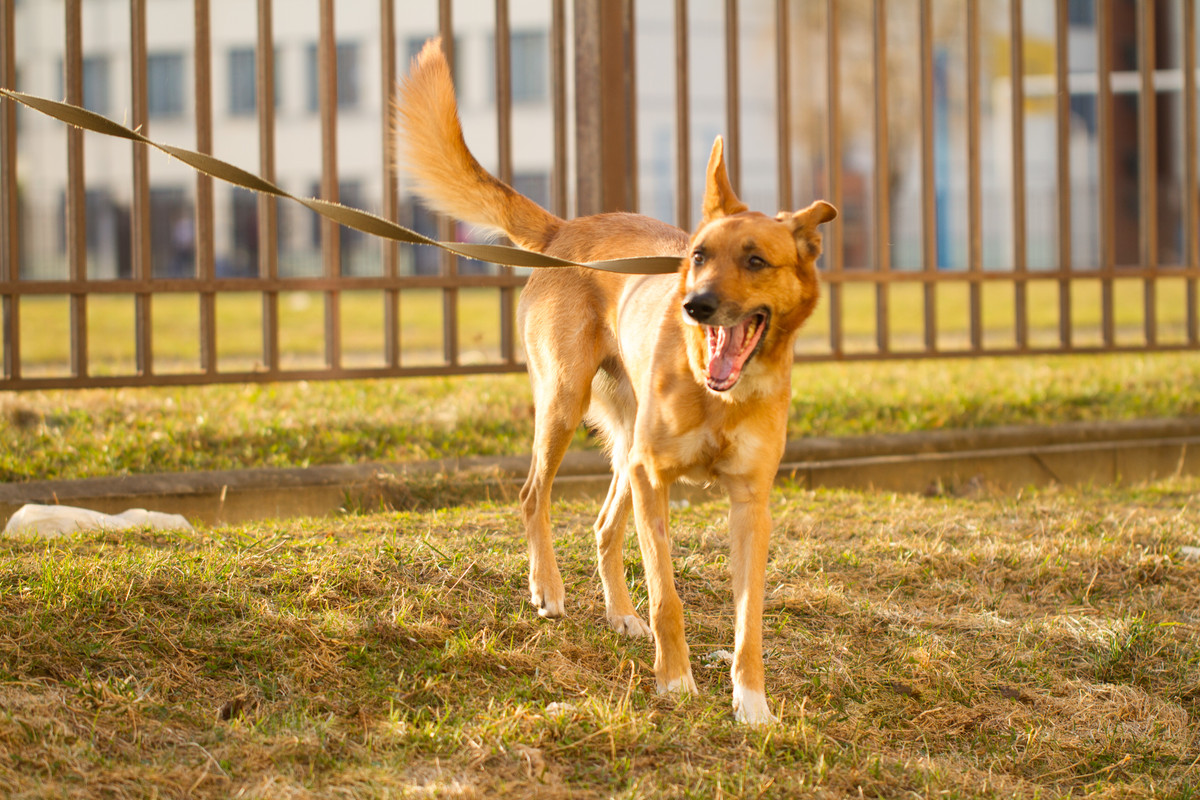 без имени-5327