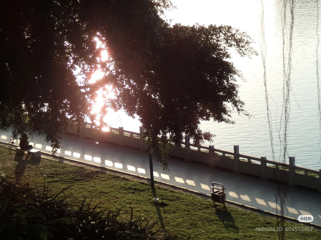 photo 5 2026 01 10 15 44 24