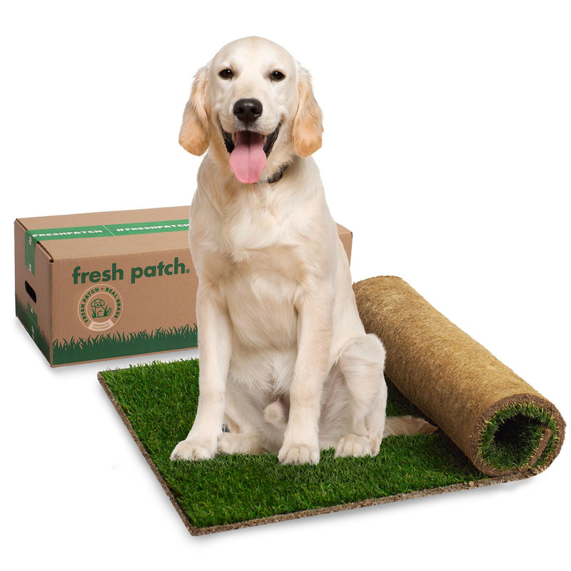 Fresh Patch Real Grass Patch XL 24x48