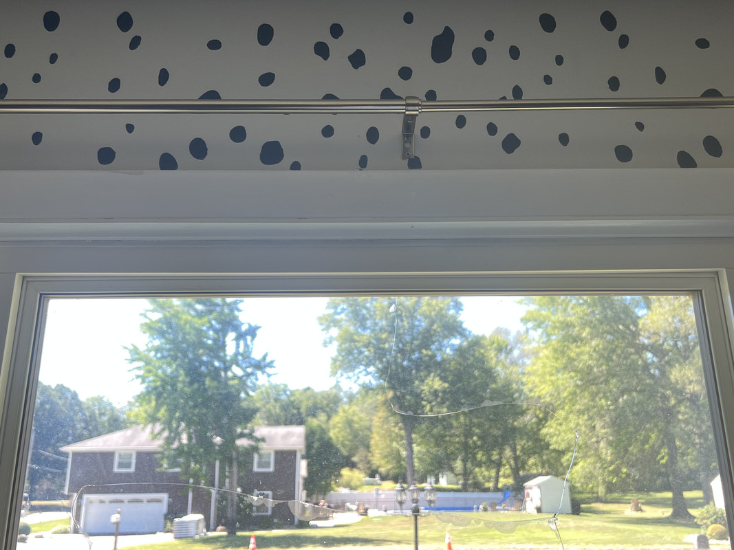 2F3C1E19-A992-4E0A-A830-97E84B2B6FC3