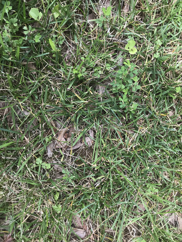 4DB15BD4-FBAB-43EF-A2F7-59054D1DC035