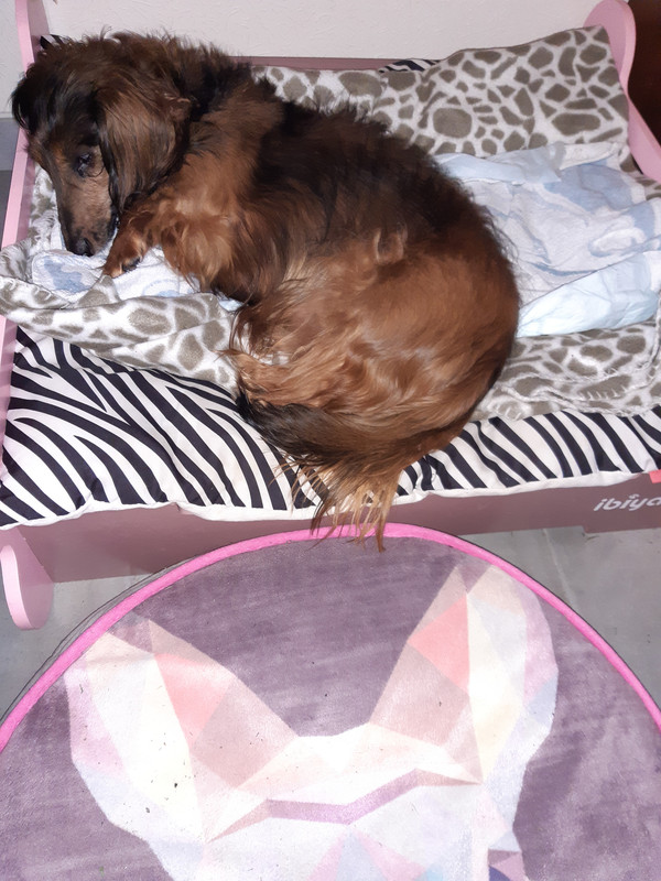 [Image: 20210521-070837.jpg]