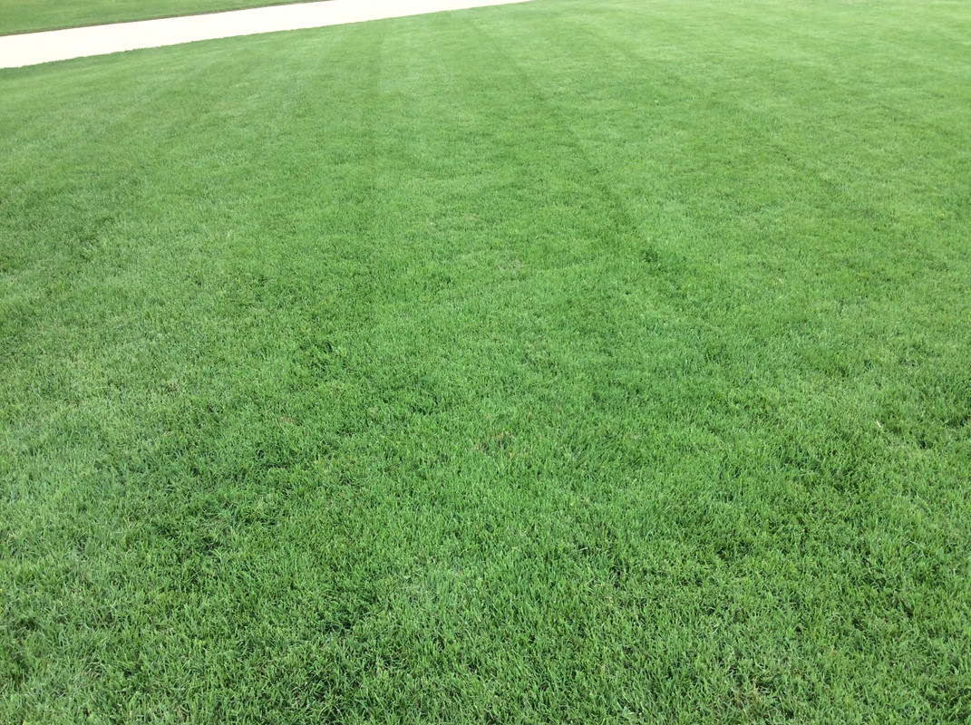 3BB8402E-DFF5-4898-8256-DC0F21356C94