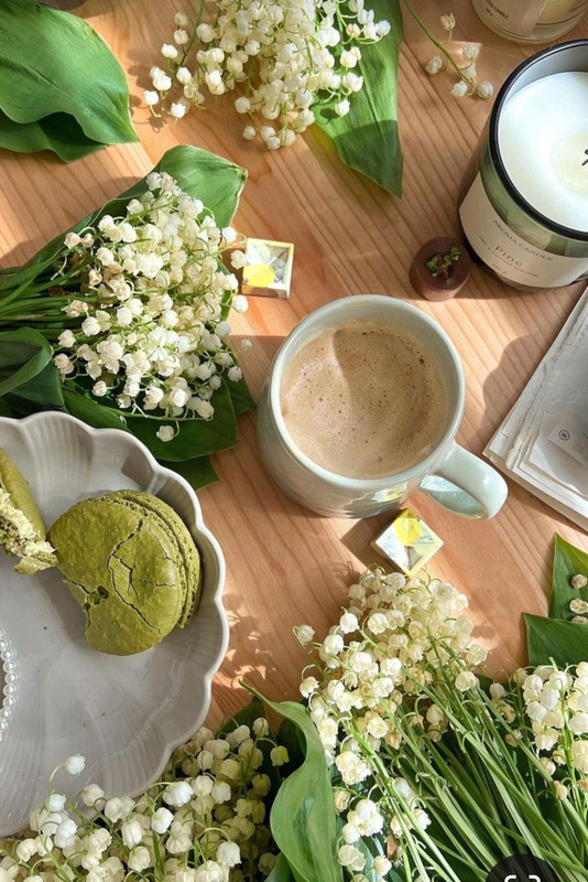 Screenshot_20230717_215554_Pinterest