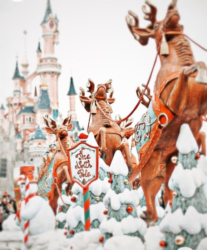 Screenshot_20221203-024613_Chrome