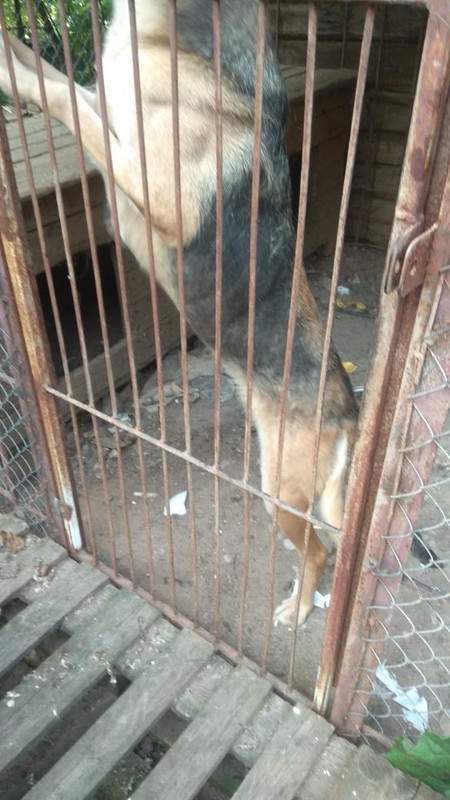 E92AAB11-3D5C-4BC5-BC1C-A96104BC07B6