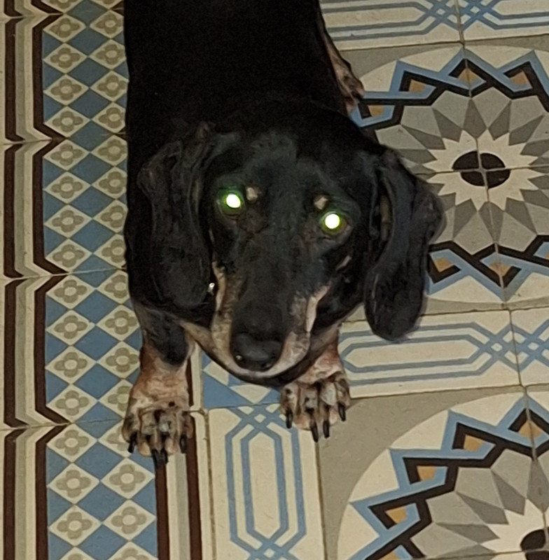 [Image: 20240217-084552.jpg]