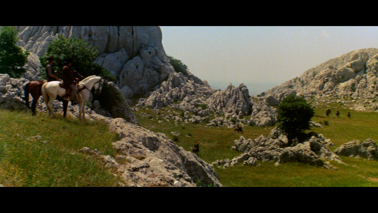 00003.mpls_snapshot_00.49.39_[2024.12.17_17.09.38]