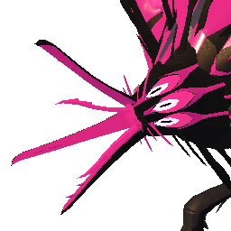 Xymorax