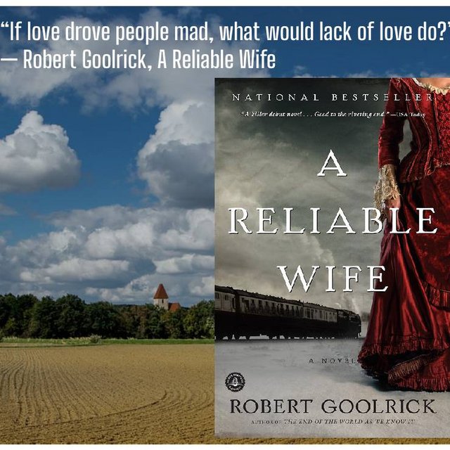  A Reliable Wife by Robert Goolrick