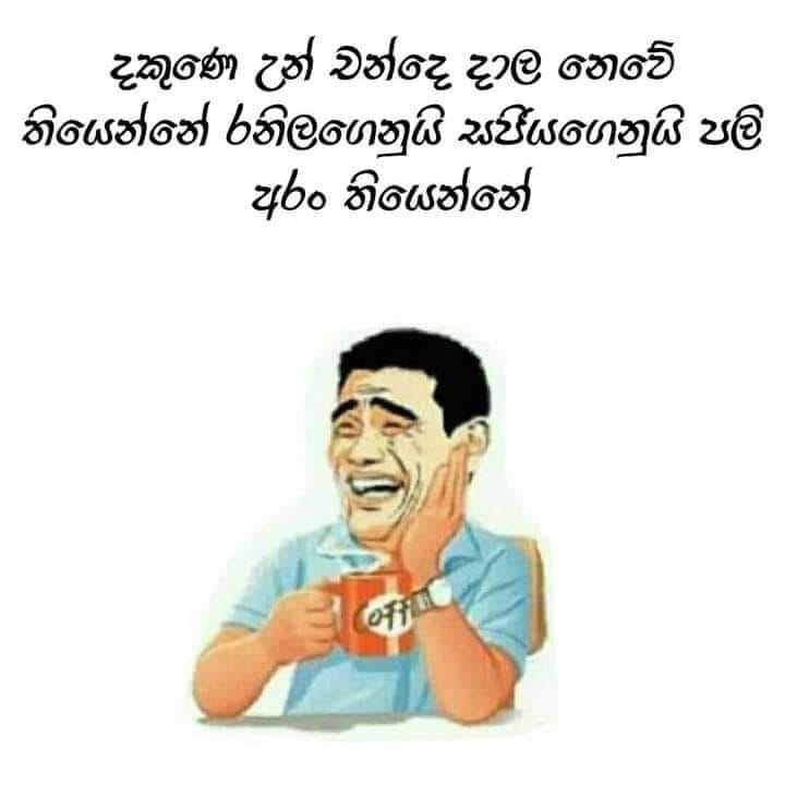 hapoii.jpg