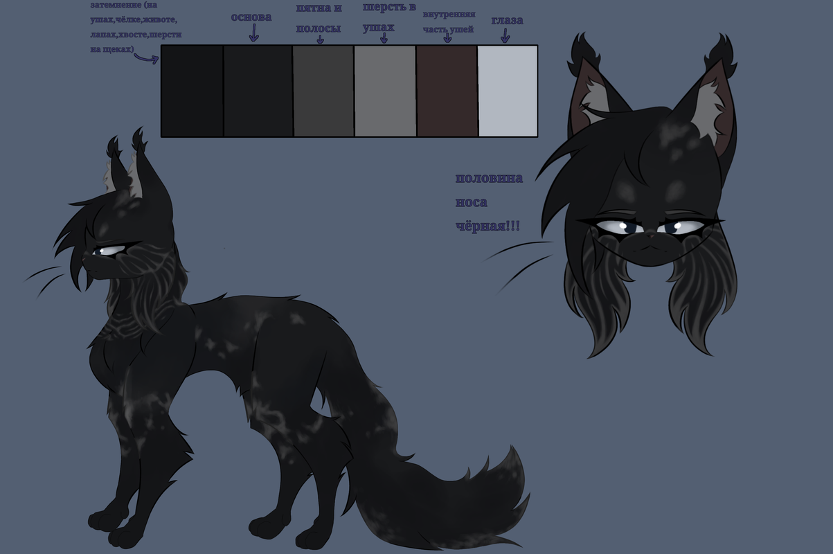 Без названия34_20240929193839