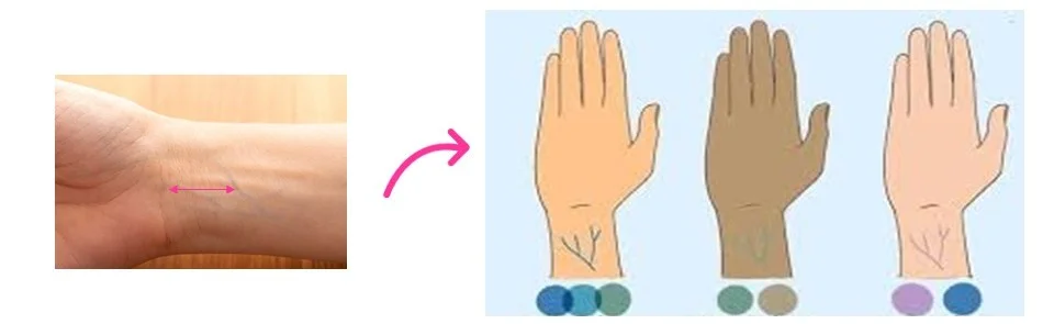 Z Illustration du test des veines au poignet pour identifier son sous-ton de peau